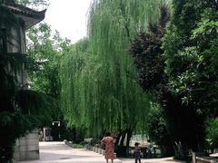 -莲湖公园