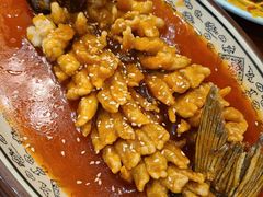 -公社食堂(牧电路店)