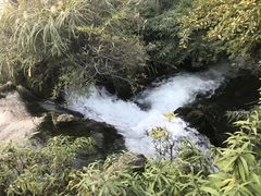 -贵阳市花溪国家城市湿地公园