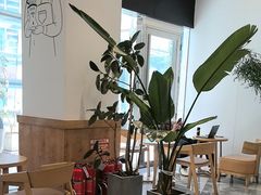 -Blueglass酸奶(财富购物中心店)