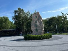 -绿堤公园