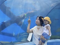-合肥海洋世界
