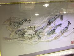 -贝壳梦幻世界
