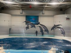-鹿儿岛水族馆