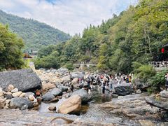 -石台牯牛降景区