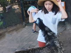 -可伦宾野生动物保护区