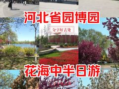 -河北省园博园