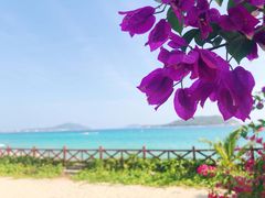 -亚龙湾海景国际度假酒店·海景坊