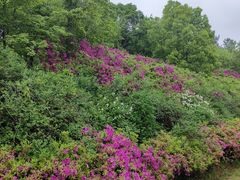 -宜兴龙背山森林公园