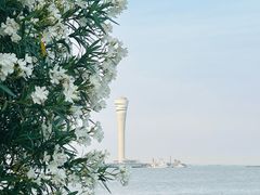 -上海吴淞炮台湾国家湿地公园