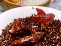 -朱记乳鸽王·非遗石岐乳鸽·全鸽宴(大兴旗舰店)