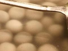 -翠亭酒家(山西南路店)