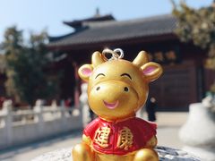 -牛首山文化旅游区