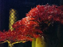 -江南足纪·影院足道·轻奢SPA(笋岗HALO广场店)