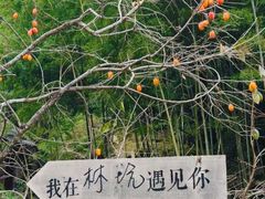 -林坑古村落