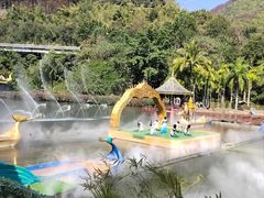 -西双版纳原始森林公园