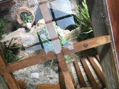 -丽江花间堂·隐泉院