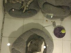 -娜娜家•Nana’Garden (福州道店)