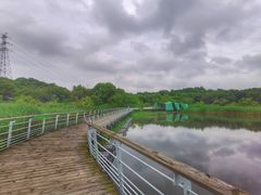 -西湖风景区-江洋畈生态公园