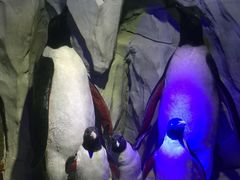 -太平洋海底世界