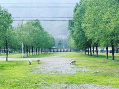-十渡东湖港风景区