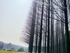 -宜兴龙背山森林公园