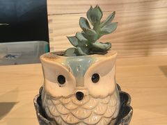 -江户前日本料理(瑞诗酒店店)