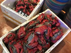 菜蟹膏蟹-莲花公园煎蟹(总店)