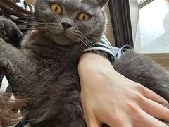 -PETKIT 小佩宠物·低压洗护·美容·寄养(安远店)