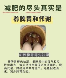 -Fundi张玉珊修身堂·indiba·BTL科技瘦身