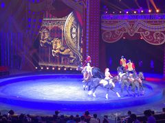 -珠海横琴长隆《卡卡虎奇遇记》