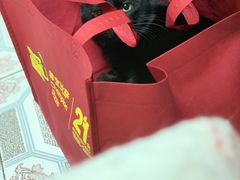 -尊宝比萨(较场口店)