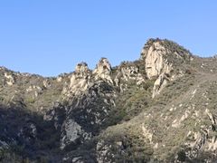 -大岭沟猕猴桃谷风景区
