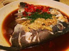 -贴阁碧(百丈东路店)