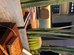 -West10 西拾·西餐厅·创意菜(未来科技城店)