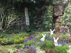 -深圳仙湖植物园