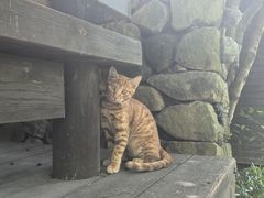 -铭莲·八卦田水上餐厅
