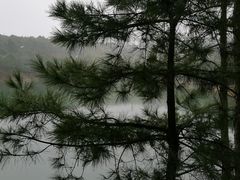 -南京市无想山景区