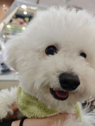 -十月日记高端孕妈妈摄影(黄金大厦店)