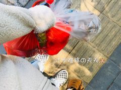 -阳坊大都涮羊肉(阳坊总店)