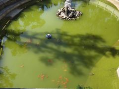 -宝通禅寺