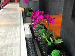 -广州富力君悦大酒店·凯菲厅