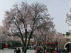 -大慈恩寺(大雁塔)