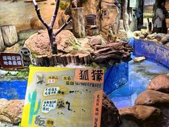 -正佳雨林生态植物园