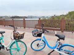 -五缘湾湿地公园