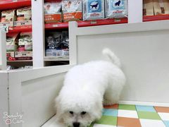-瑞鹏宠物医院·微创内窥镜·骨外科·牙科(翠竹分院)