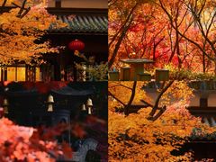 -竹里馆 ·茶食(奥体店)