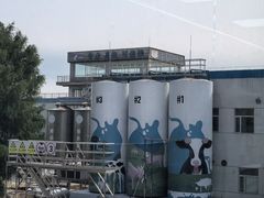 -光明牧业有限公司金山种奶牛场