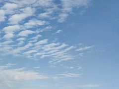 -上海滨江森林公园