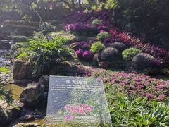-广州市白云山风景名胜区